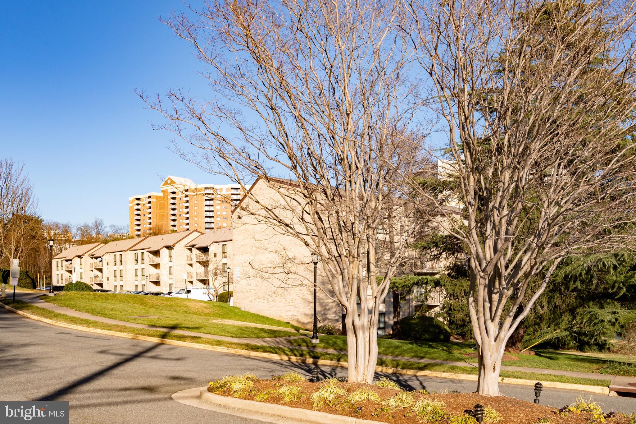 6137 Edsall Road, Unit F Alexandria, VA 22304 - Photo 32 of 36