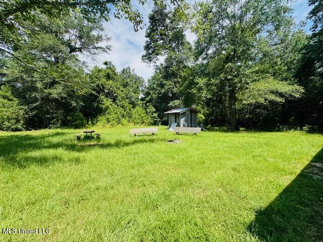 Tbd Tbd Balltown Road Angie, LA 70426 - Photo 17 of 40 IMG_5492