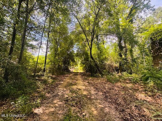 Tbd Tbd Balltown Road Angie, LA 70426 - Photo 2 of 40 IMG_5473