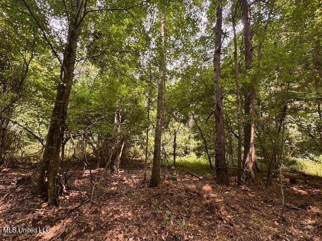 Tbd Tbd Balltown Road Angie, LA 70426 - Photo 22 of 40 IMG_5508