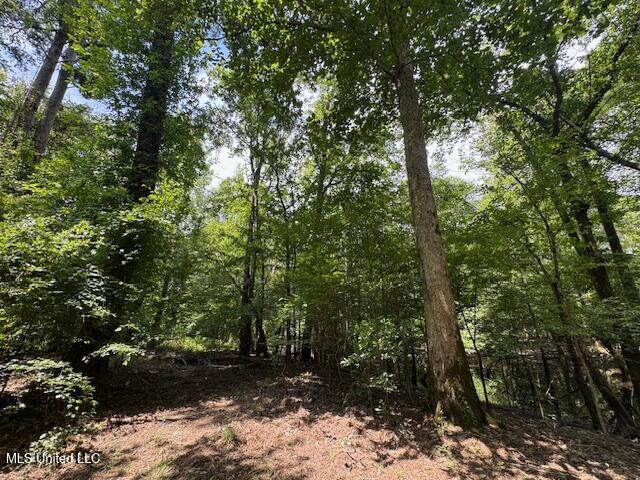 Tbd Tbd Balltown Road Angie, LA 70426 - Photo 25 of 40 IMG_5513