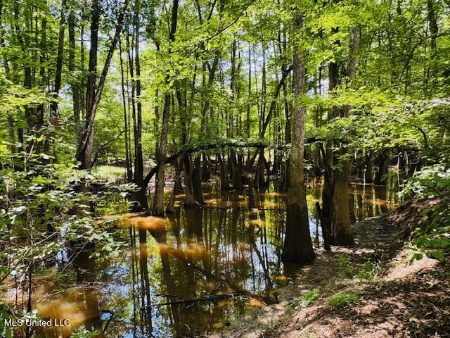 Tbd Tbd Balltown Road Angie, LA 70426 - Photo 27 of 40 IMG_5520