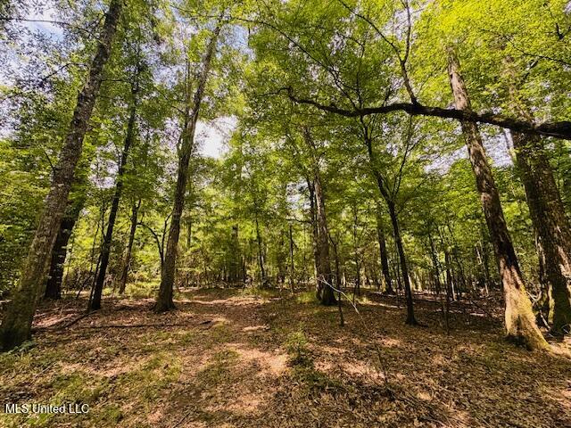 Tbd Tbd Balltown Road Angie, LA 70426 - Photo 28 of 40 IMG_5521