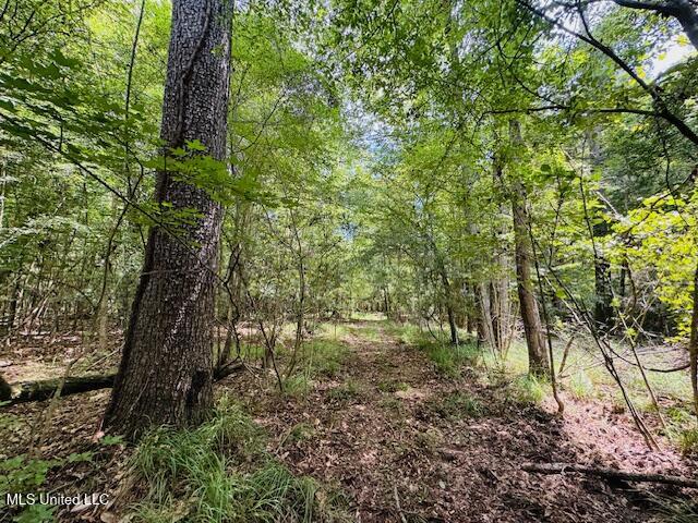 Tbd Tbd Balltown Road Angie, LA 70426 - Photo 30 of 40 IMG_5526