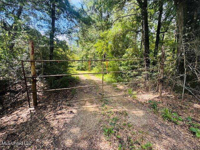Tbd Tbd Balltown Road Angie, LA 70426 - Photo 3 of 40 IMG_5475