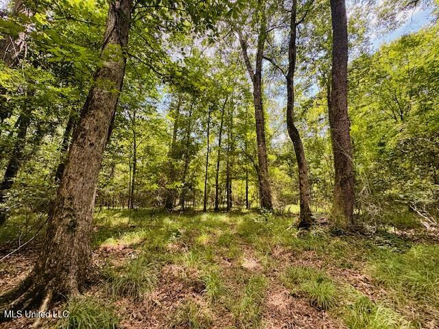 Tbd Tbd Balltown Road Angie, LA 70426 - Photo 31 of 40 IMG_5528
