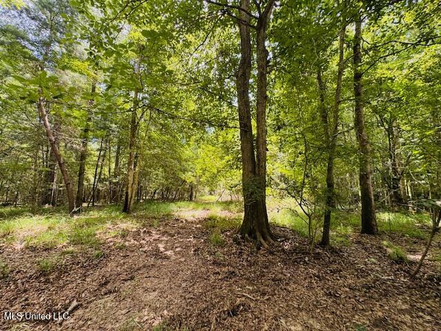 Tbd Tbd Balltown Road Angie, LA 70426 - Photo 32 of 40 IMG_5530