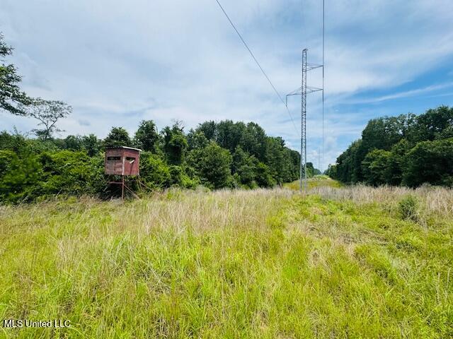 Tbd Tbd Balltown Road Angie, LA 70426 - Photo 34 of 40 IMG_5540