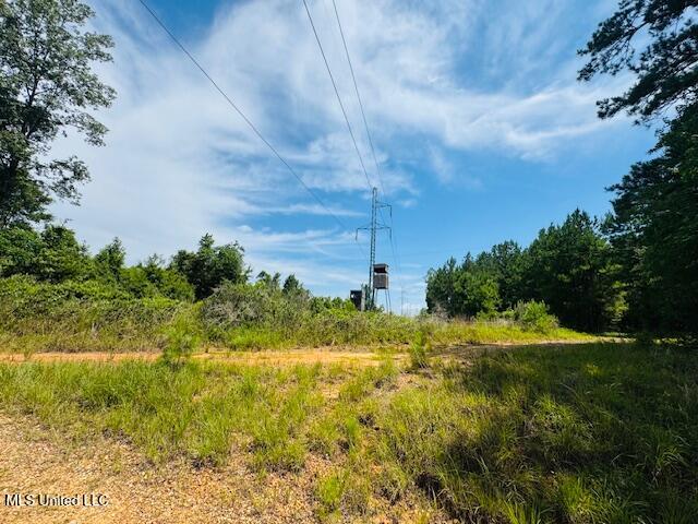 Tbd Tbd Balltown Road Angie, LA 70426 - Photo 5 of 40 IMG_5479