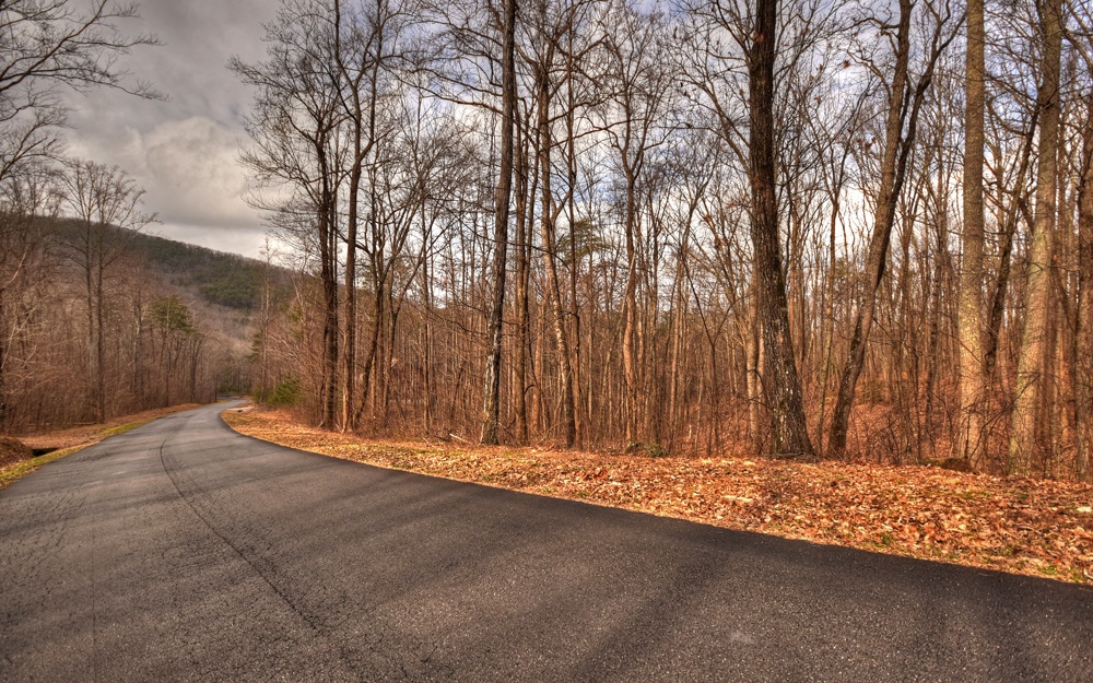 125 R Falling Waters Lane Ellijay, GA 30536 - Photo 1 of 1 a view of outdoor space with sliding trees