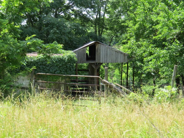 200 Hardy Road Pulaski, TN 38478 - Photo 11 of 20