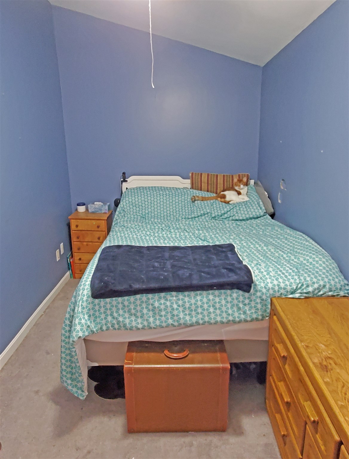 111 Chases Grove Road Derry, NH 03038 - Photo 10 of 19