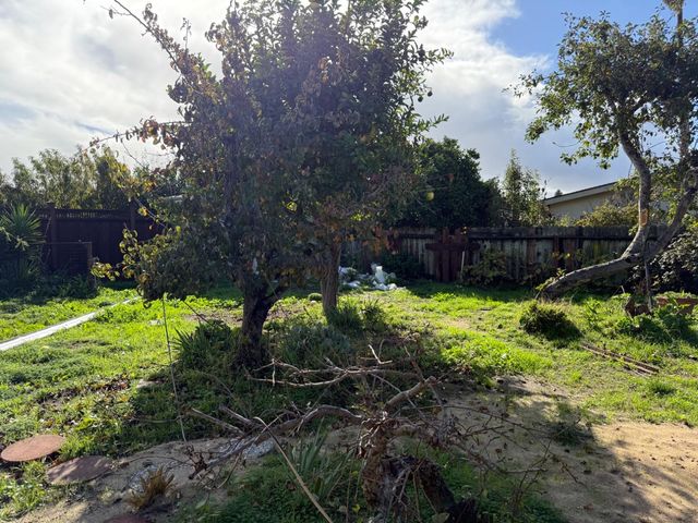 a view of yard with green space