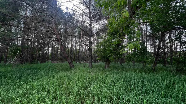 $24,500 | Lot 73 Pine Montello Wi 53949, Montello, WI 53949