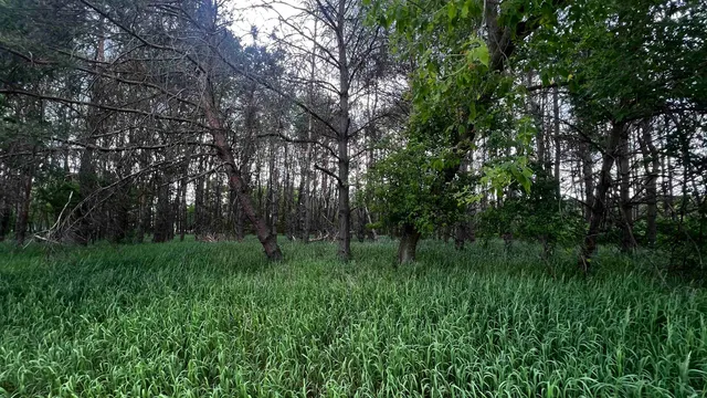 $24,500 | Lot 73 Pine Montello Wi 53949, Montello, WI 53949