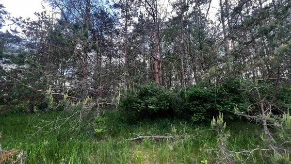$24,500 | Lot 73 Pine Montello Wi 53949, Montello, WI 53949