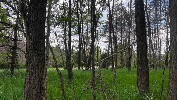 $24,500 | Lot 73 Pine Montello Wi 53949, Montello, WI 53949