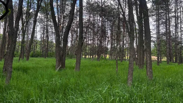 $24,500 | Lot 73 Pine Montello Wi 53949, Montello, WI 53949