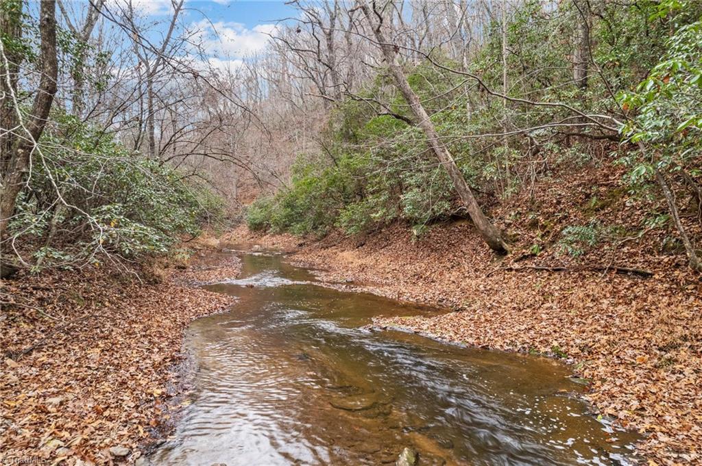 0 Simmons Road Westfield, NC 27053 - Photo 1 of 26 Gallery Image 1