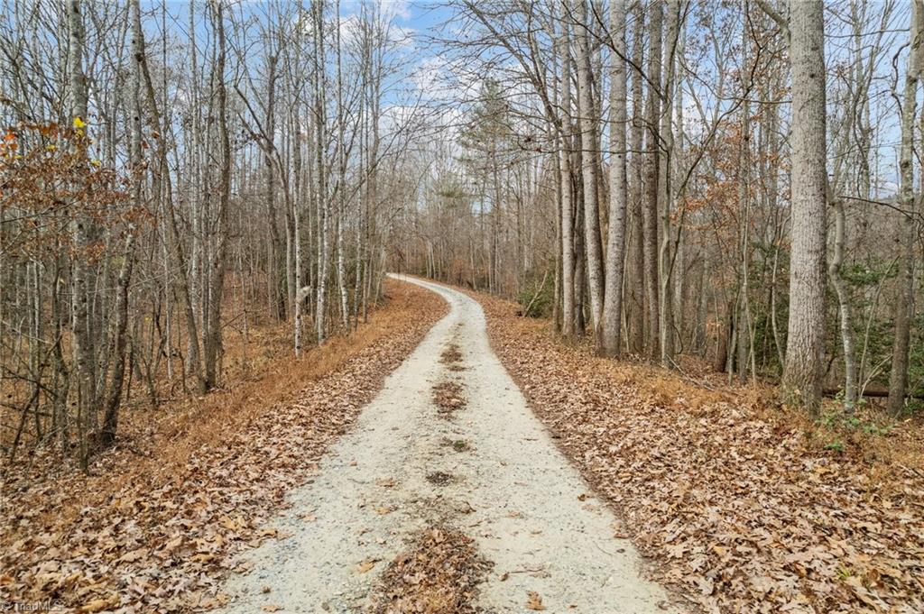0 Simmons Road Westfield, NC 27053 - Photo 11 of 26 Gallery Image 11