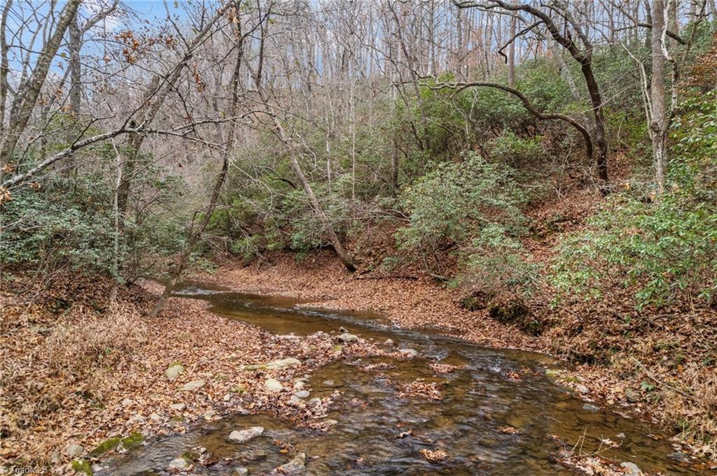 0 Simmons Road Westfield, NC 27053 - Photo 12 of 26 Gallery Image 12