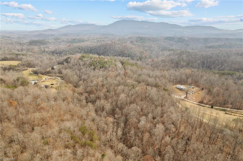 0 Simmons Road Westfield, NC 27053 - Photo 13 of 26 Gallery Image 13