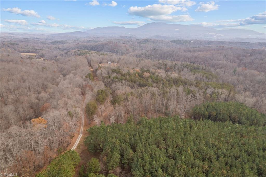 0 Simmons Road Westfield, NC 27053 - Photo 14 of 26 Gallery Image 14