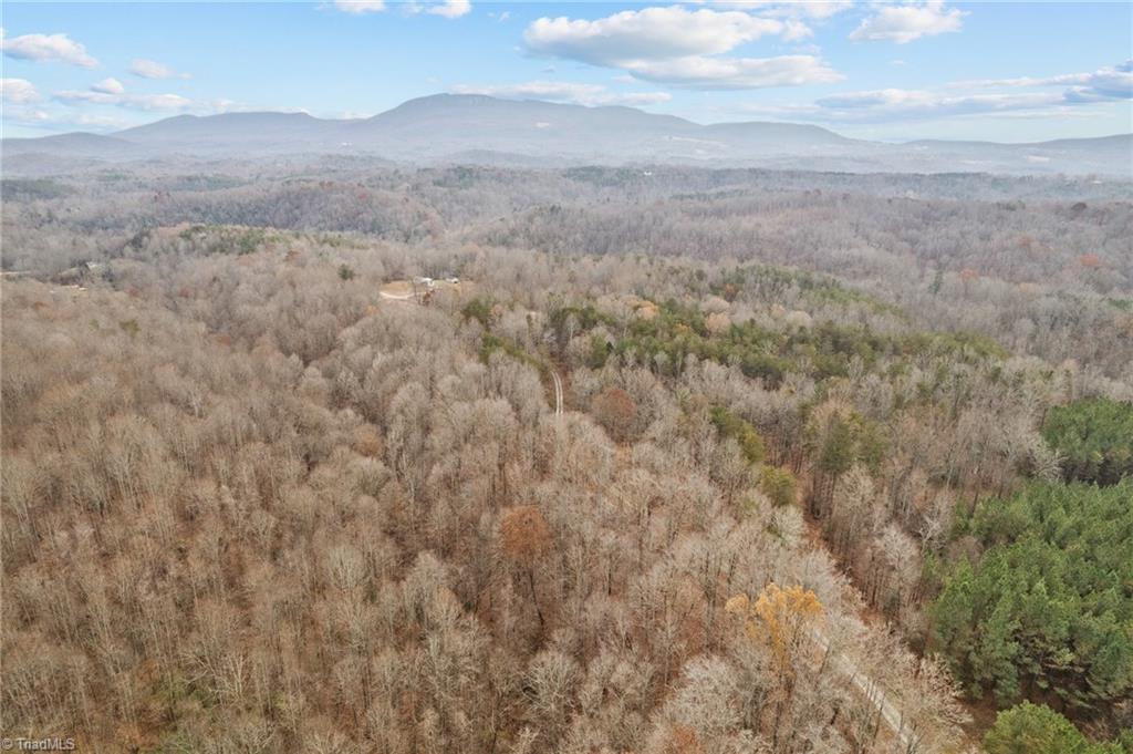 0 Simmons Road Westfield, NC 27053 - Photo 15 of 26 Gallery Image 15