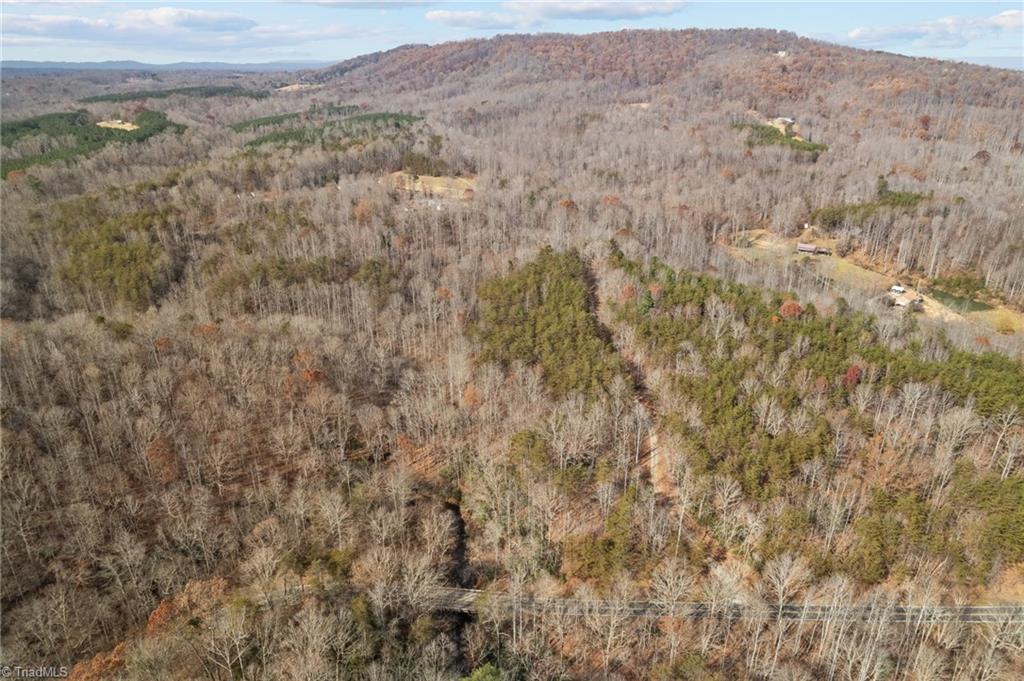 0 Simmons Road Westfield, NC 27053 - Photo 17 of 26 Gallery Image 17