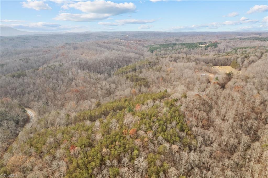 0 Simmons Road Westfield, NC 27053 - Photo 19 of 26 Gallery Image 19