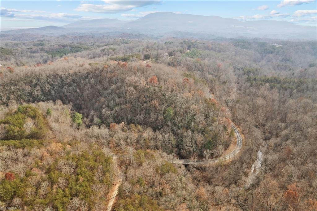 0 Simmons Road Westfield, NC 27053 - Photo 20 of 26 Gallery Image 20