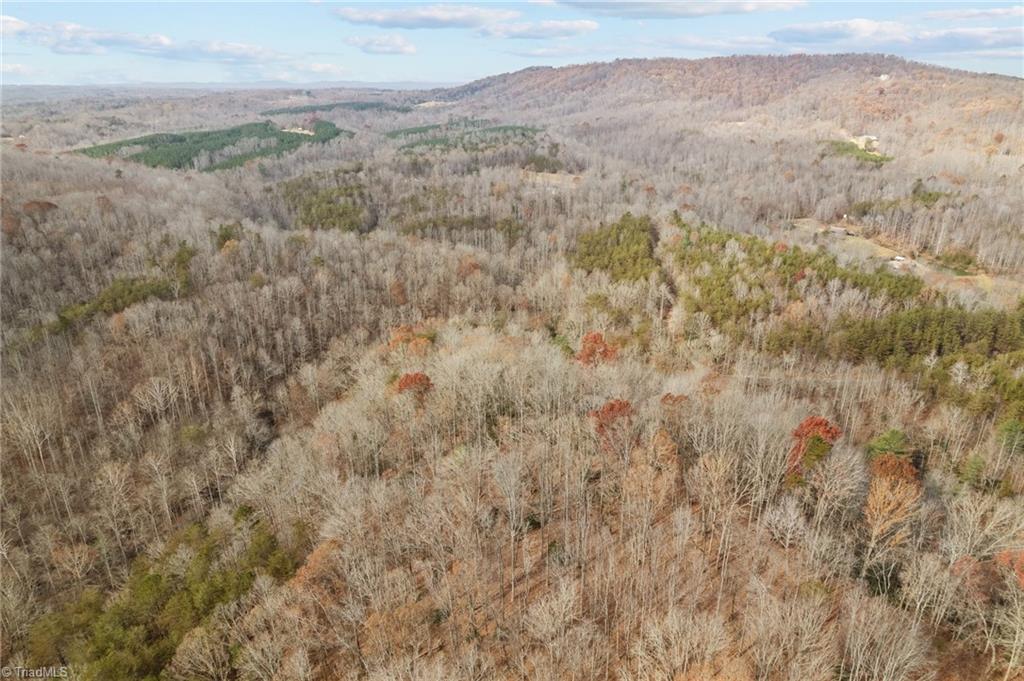 0 Simmons Road Westfield, NC 27053 - Photo 23 of 26 Gallery Image 23