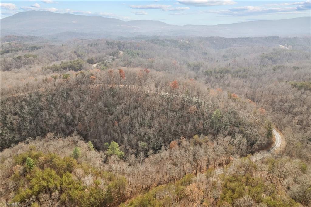 0 Simmons Road Westfield, NC 27053 - Photo 25 of 26 Gallery Image 25