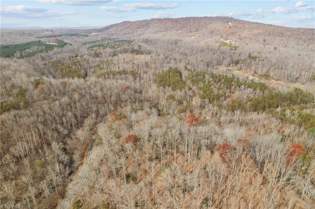 0 Simmons Road Westfield, NC 27053 - Photo 26 of 26 Gallery Image 26
