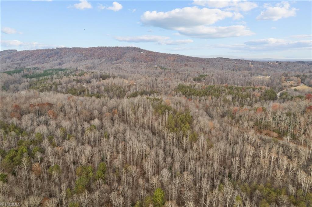 0 Simmons Road Westfield, NC 27053 - Photo 3 of 26 Gallery Image 3