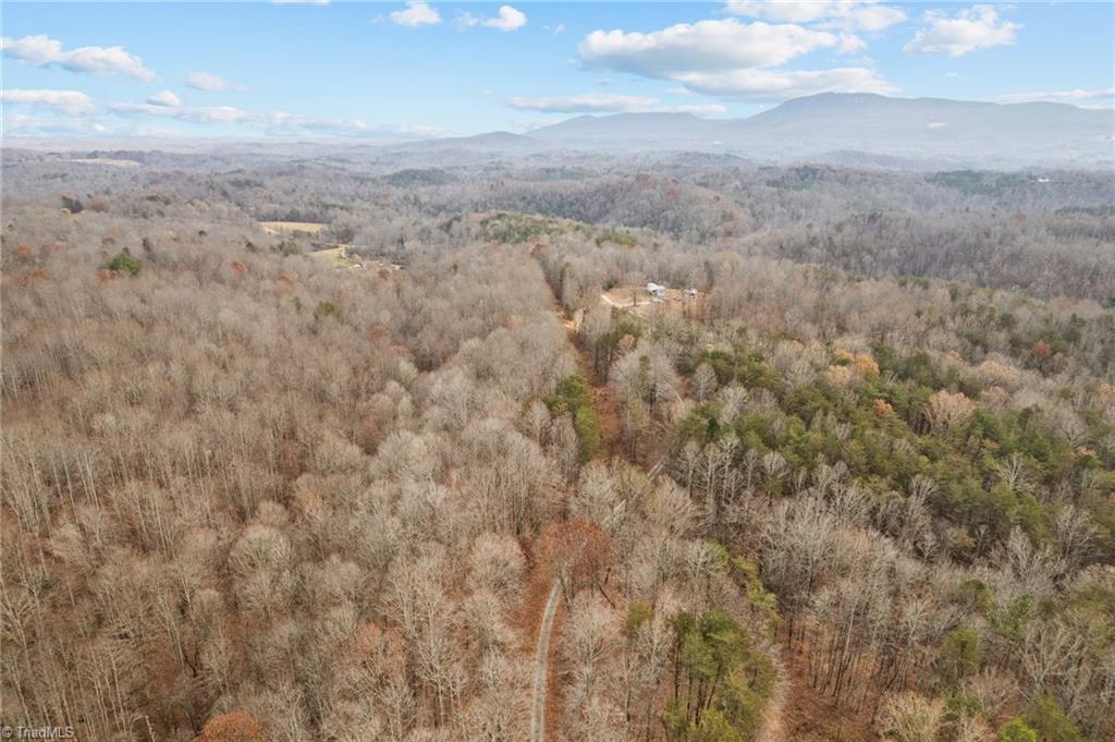 0 Simmons Road Westfield, NC 27053 - Photo 9 of 26 Gallery Image 9