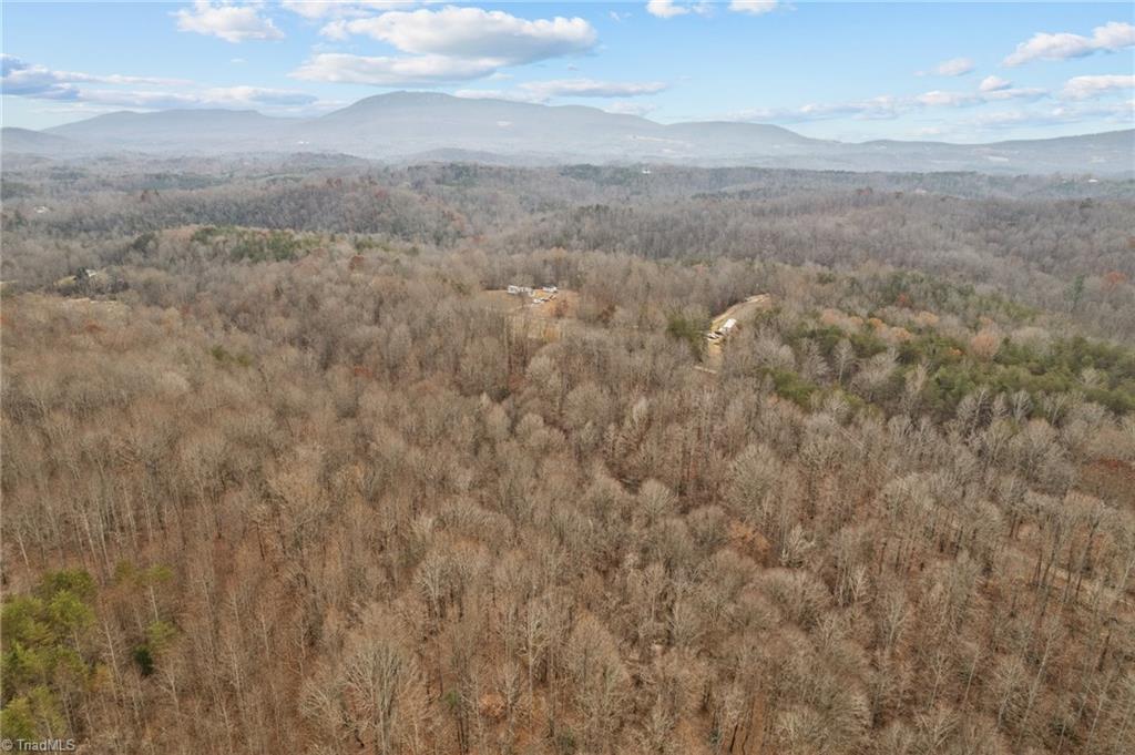 0 Simmons Road Westfield, NC 27053 - Photo 10 of 26 Gallery Image 10