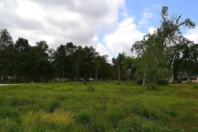 a backyard of a house with lots of green space and fog