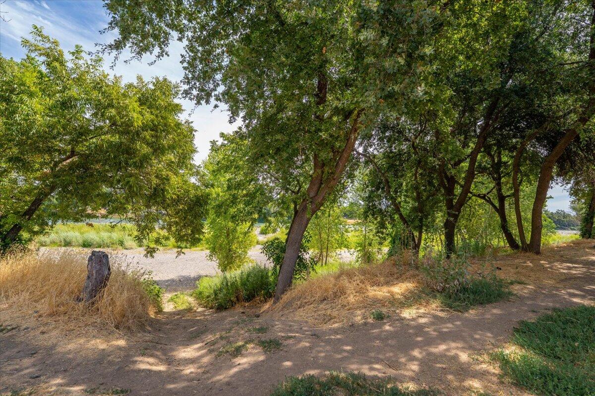 426 Riverside Way Red Bluff, CA 96080 - Photo 12 of 22 a view of backyard with green space