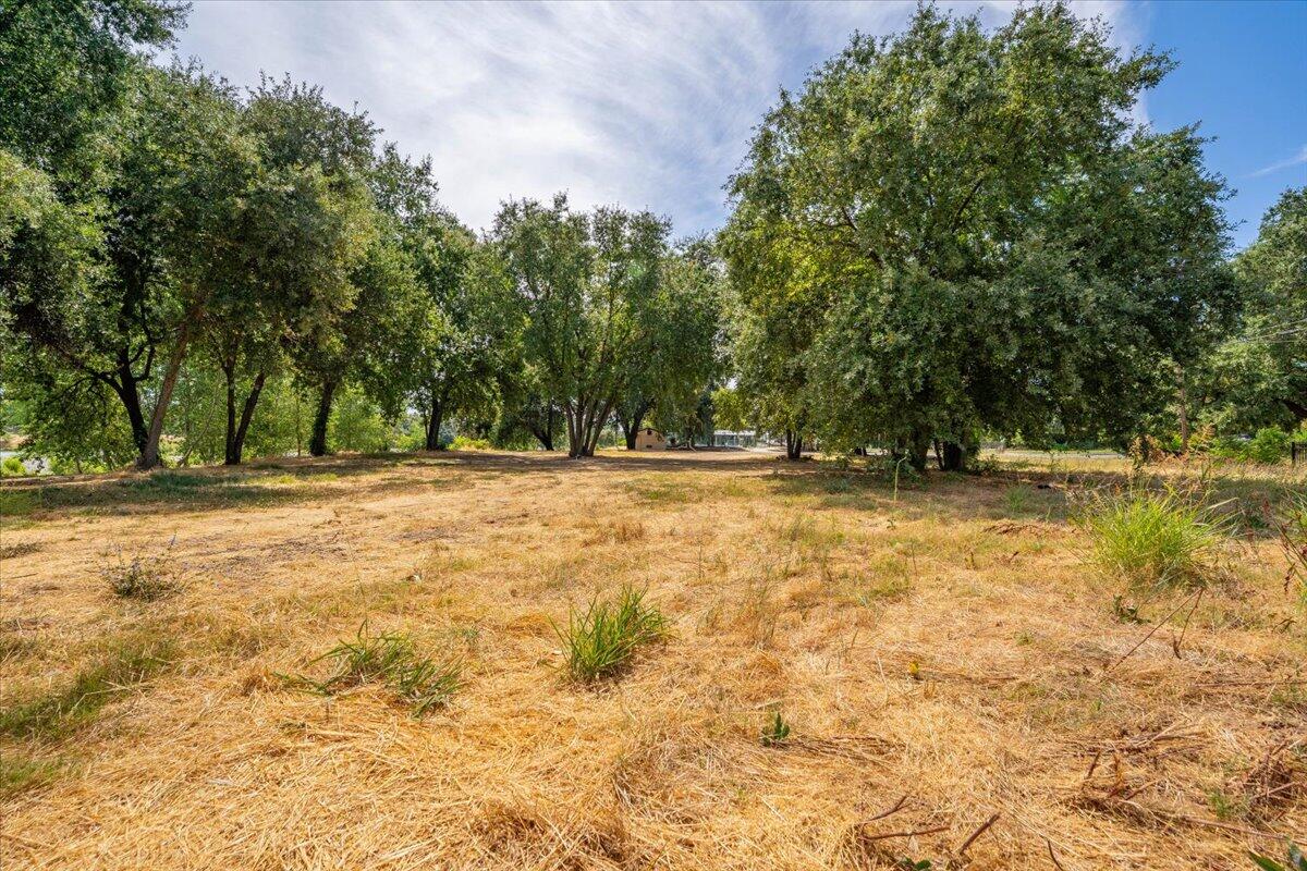 426 Riverside Way Red Bluff, CA 96080 - Photo 13 of 22 a view of outdoor space with deck and trees