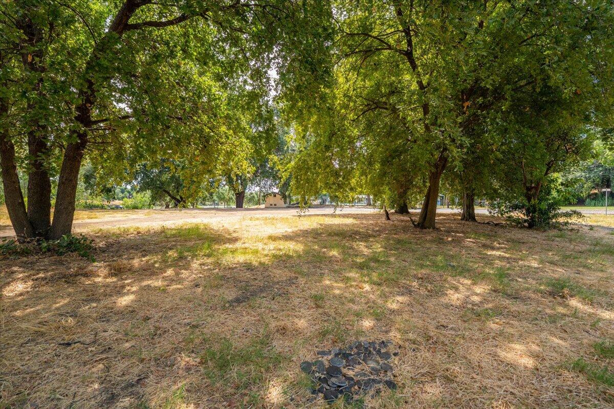 426 Riverside Way Red Bluff, CA 96080 - Photo 14 of 22 a view of outdoor space with trees