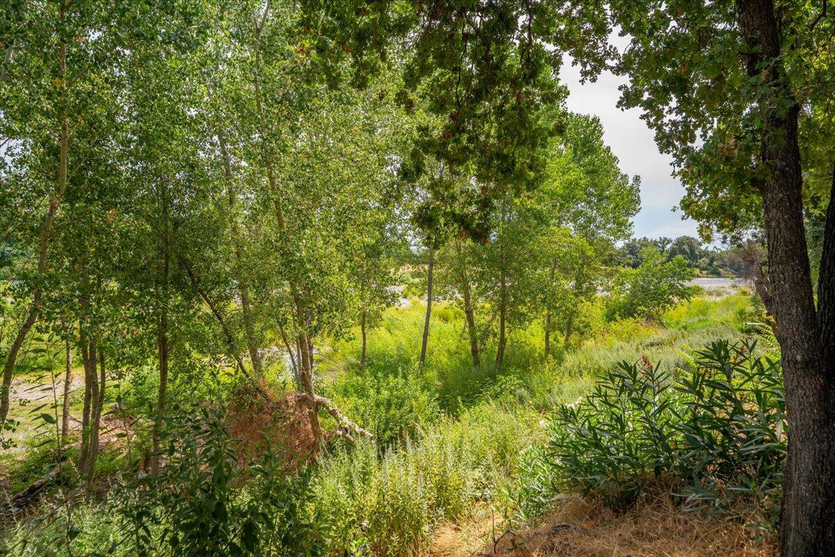 426 Riverside Way Red Bluff, CA 96080 - Photo 16 of 22 a backyard of a house with lots of trees