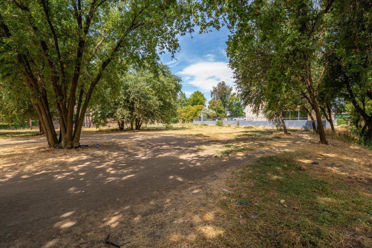 426 Riverside Way Red Bluff, CA 96080 - Photo 17 of 22 a view of outdoor space with trees