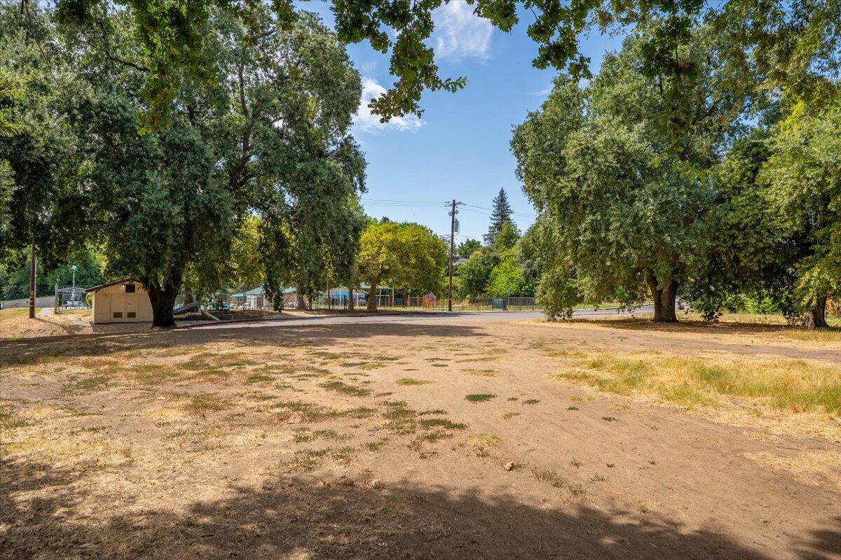 426 Riverside Way Red Bluff, CA 96080 - Photo 18 of 22 a view of a yard with trees
