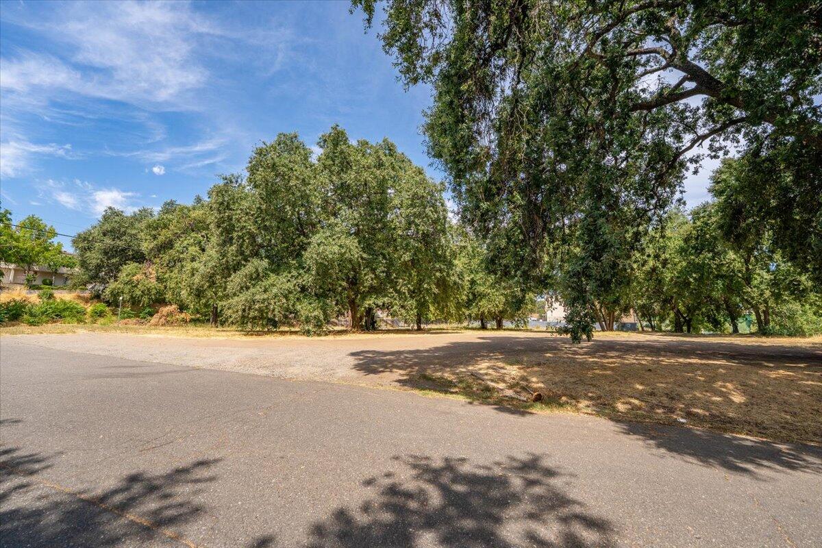 426 Riverside Way Red Bluff, CA 96080 - Photo 4 of 22 a view of a yard with a tree