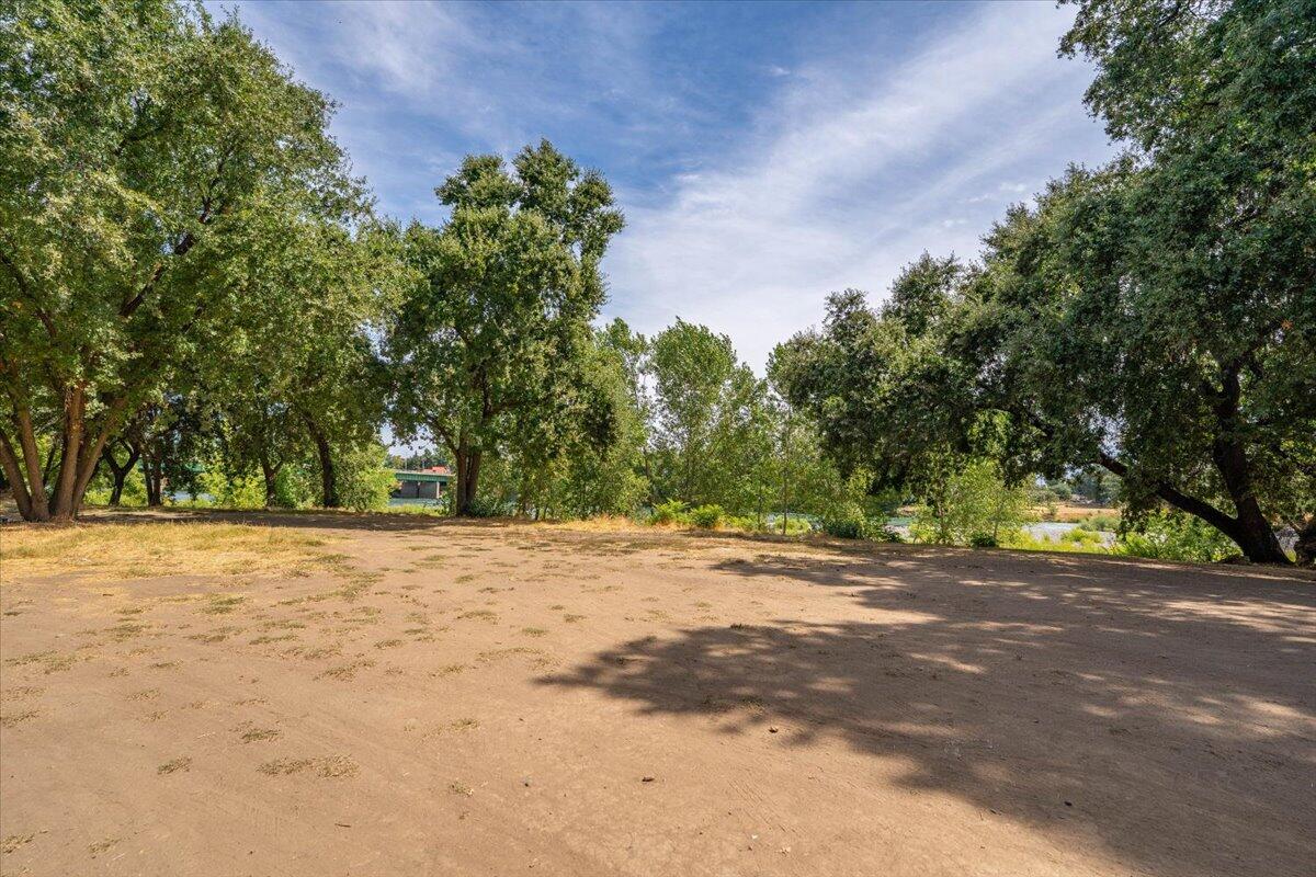 426 Riverside Way Red Bluff, CA 96080 - Photo 6 of 22 a view of a yard with a tree