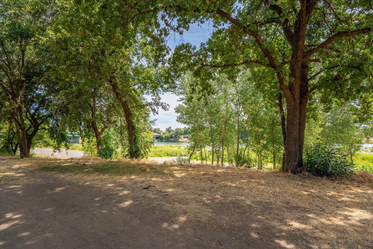 426 Riverside Way Red Bluff, CA 96080 - Photo 9 of 22 a view of backyard with tree