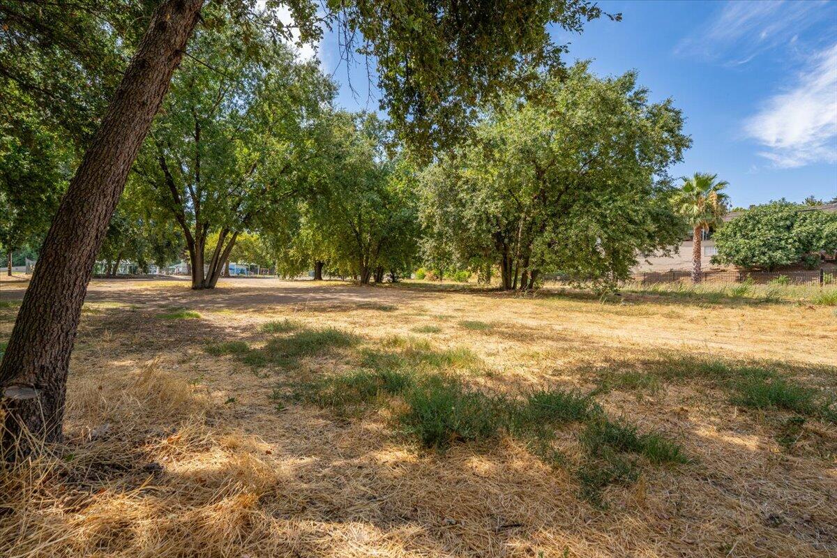 426 Riverside Way Red Bluff, CA 96080 - Photo 10 of 22 a view of outdoor space with trees all around