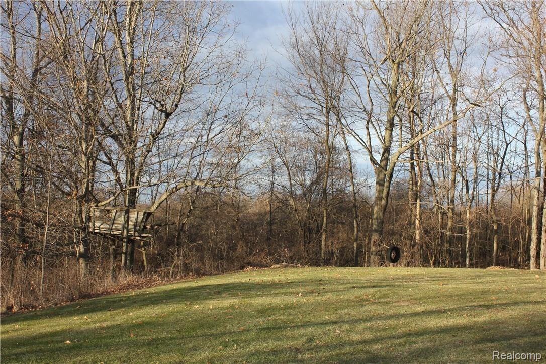 3154 Hasler Lake Road Lapeer, MI 48446 - Photo 71 of 85 IMG_6146.JPG