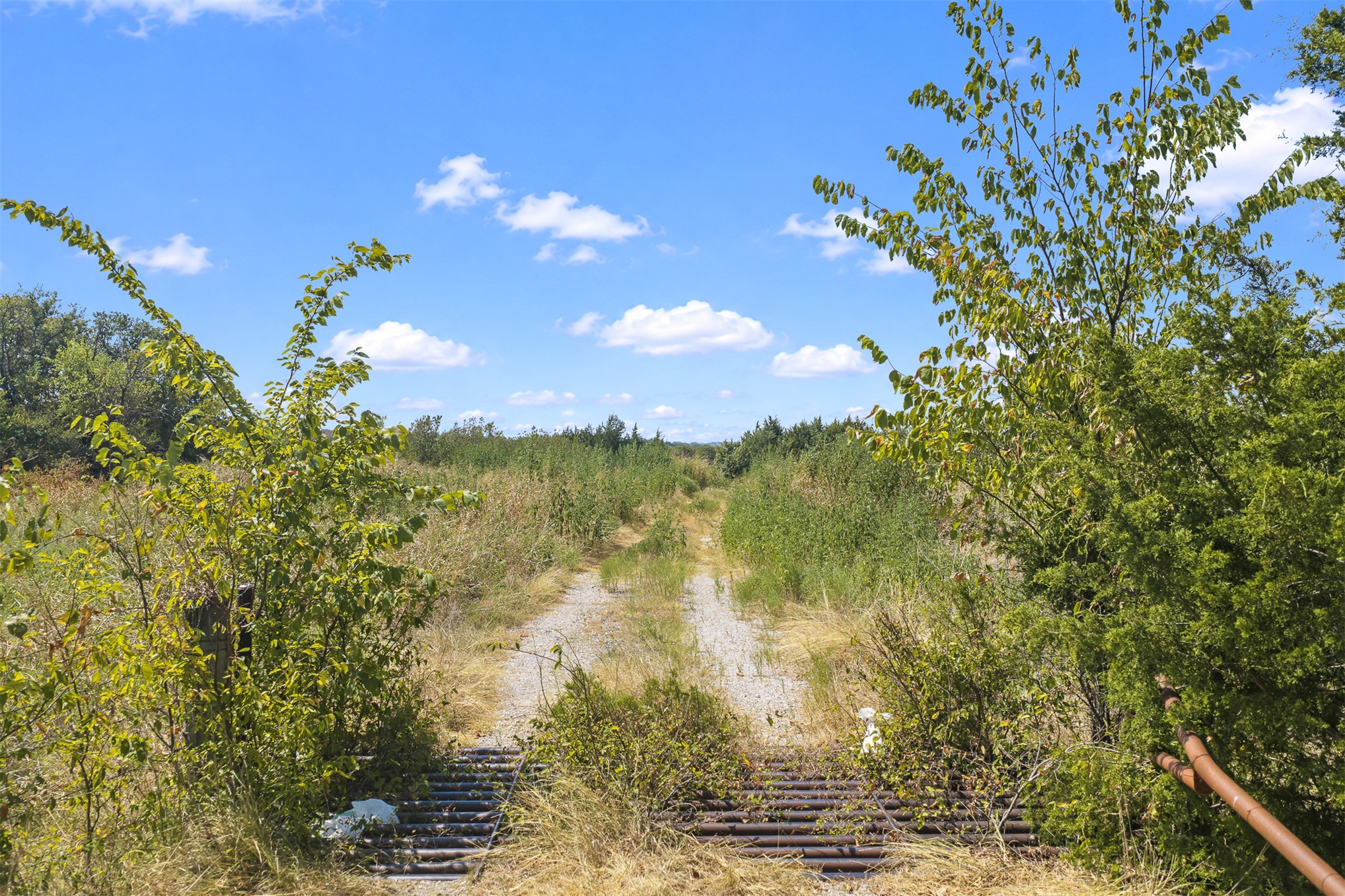 23922 Pickens Road Madill, OK 73446 - Photo 13 of 19 Expansive undeveloped land featuring a gravel path and natural vegetation